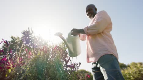 happy senior african american man watering plants in sunny garden, slow motion