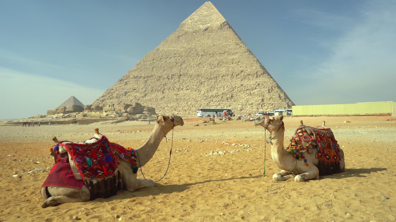 Due cammelli adornati con vivaci selle tradizionali riposano sulla sabbia del deserto con la Grande Piramide di Giza che si erge imponente sullo sfondo, creando una classica vista turistica del Cairo.