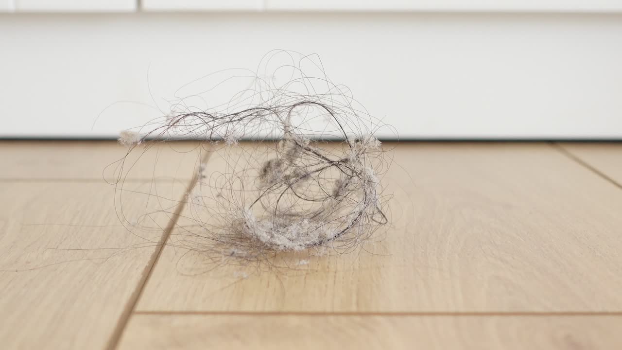 나무 바닥 에 머리카락 과 먼지 의 어리