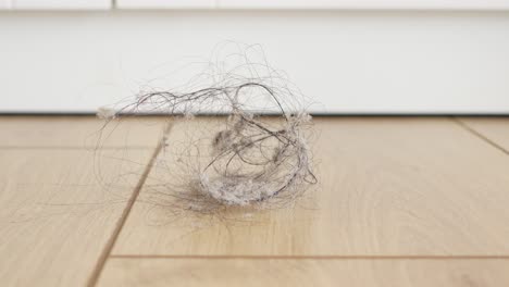 un cúmulo de cabello y polvo en un piso de madera