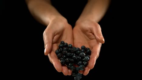 hands pouring blueberries 4k