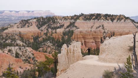 Excited-woman-on-path-raising-her-arms-in-Bryce-Canyon-National-Park-in-Utah,-USA