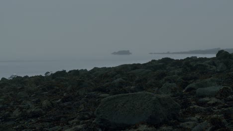 misty rocky coastline with seaweed