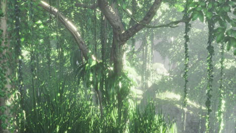 lush green forest with sunlight filtering through dense foliage and vines