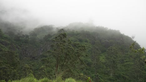 dense fog enveloping a vibrant green mountainside showcases lush tropical vegetation, creating a serene and tranquil atmosphere in the wilderness