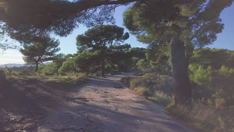 mountain unpaved road.  travel dirt road path