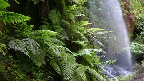 detalle de la cascada "los linden", en la isla de la palma, islas canarias, españa.