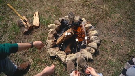 a group of young people warm marshmallows on a bonfire