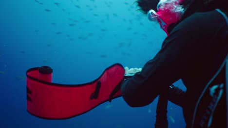 scuba diver exploring the deep blue sea