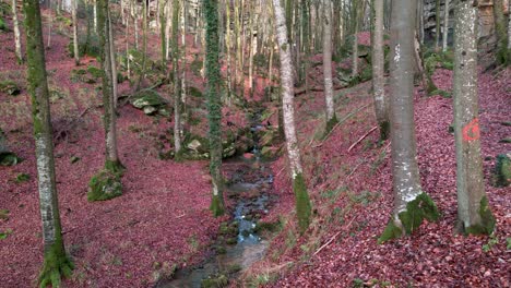 Aerial-shot-of-river-in-Mullerthal-Hiking-Trail-in-Luxembourg-late-fall---aerial-drone-shot