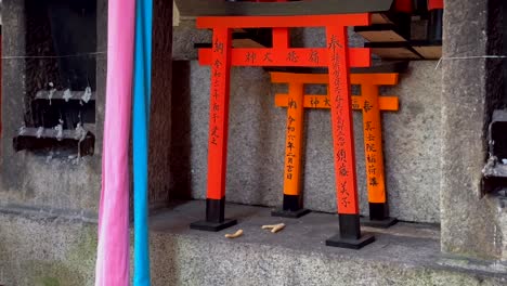santuario de las puertas en miniatura de fushimi inari taisha en kyoto, japón
