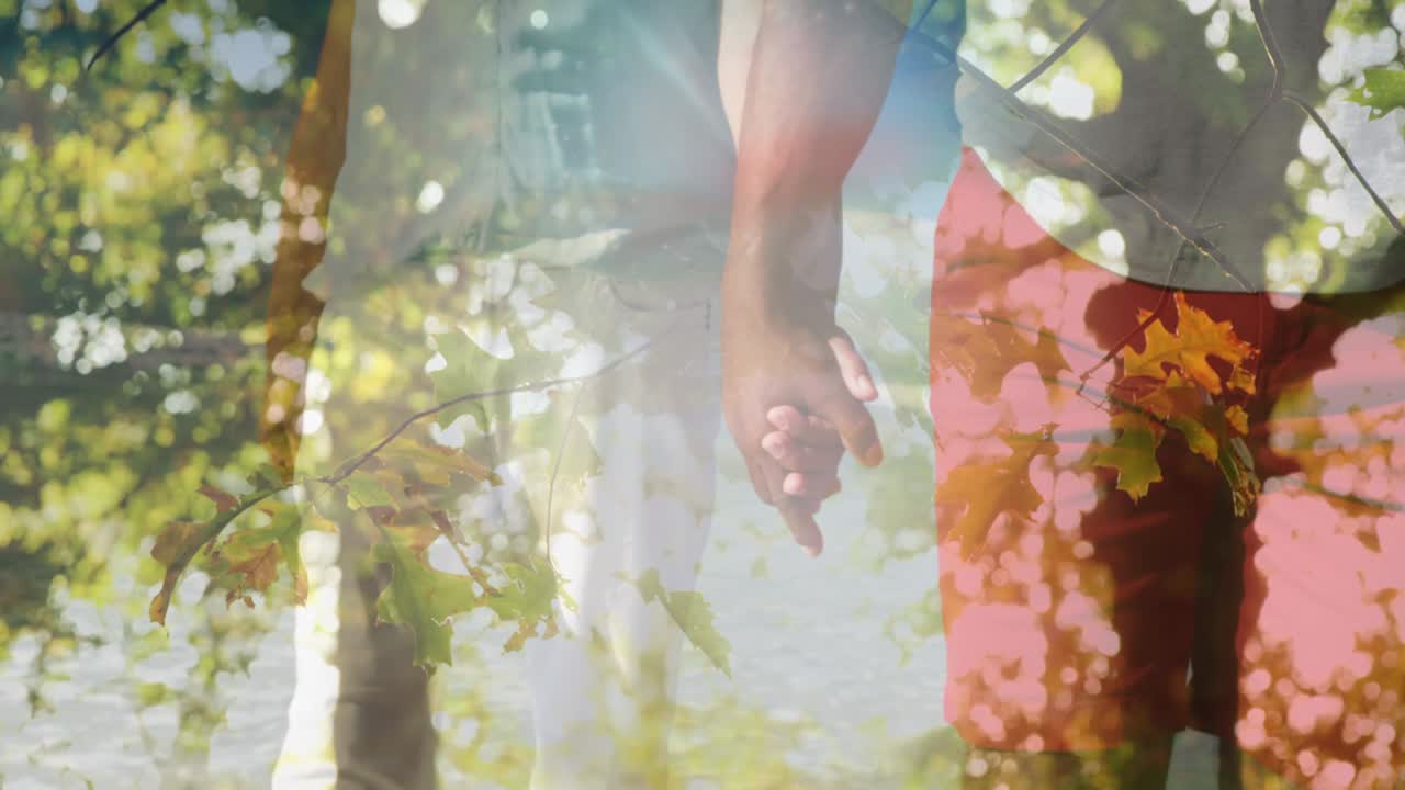 해변을 고 있는 행복한 노인 부부 위에 반이는 빛의 애니메이션