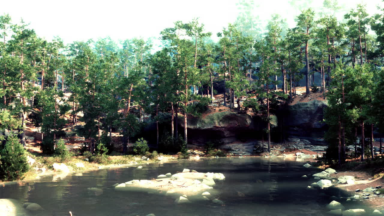 강 이 있는 평온 한 숲 풍경