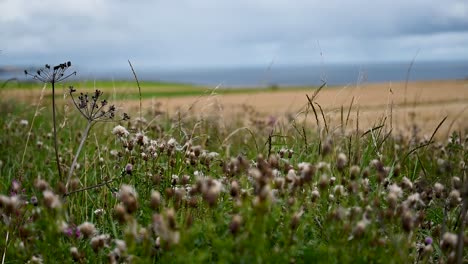 looking out to the sea from dundee, scotland, united kingdom