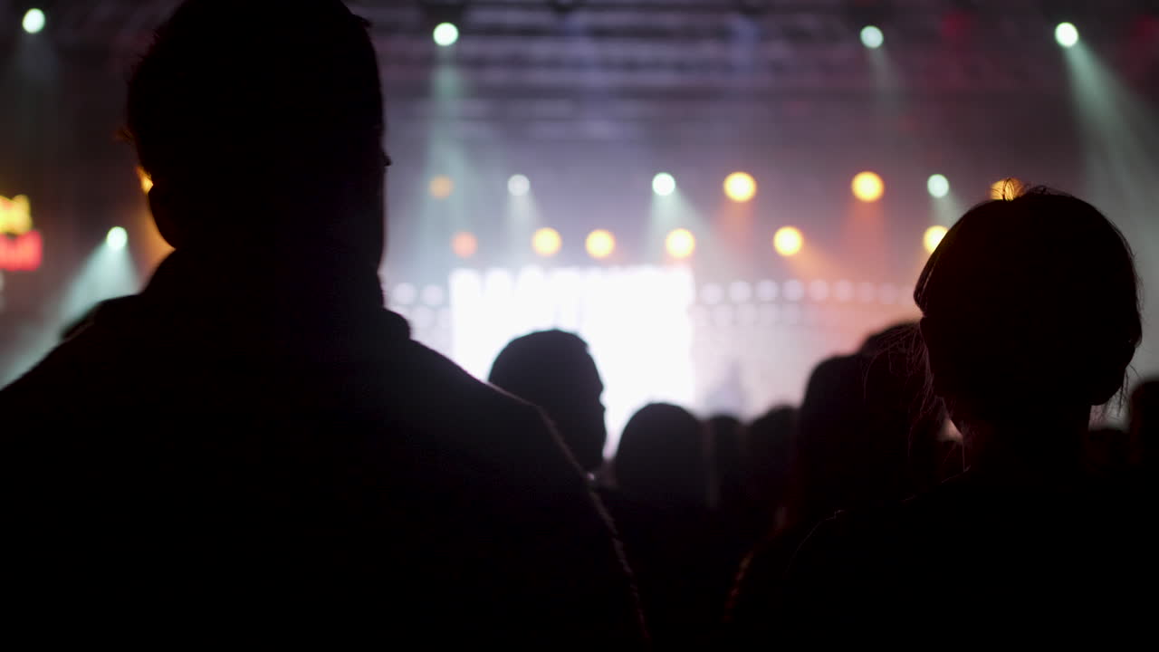 Silhouette della folla del concerto