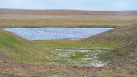 arctic tundra landscape with pond