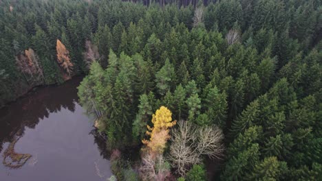 Vista-Aérea-De-Un-Lago-Con-Una-Superficie-Reflectante-En-Medio-Del-Bosque-En-Una-Fría-Mañana-De-Otoño