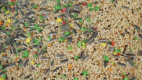 close up of a pile of bird seed