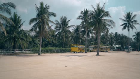 girl guy ride scooter on square against tropical trees