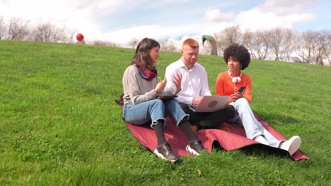 Venner som jobber sammen på en piknik i parken