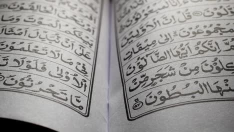 Holy Quran
