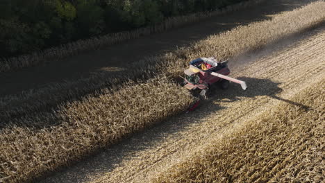 combine harvester collecting corn grain in farm field during daytime, aerial