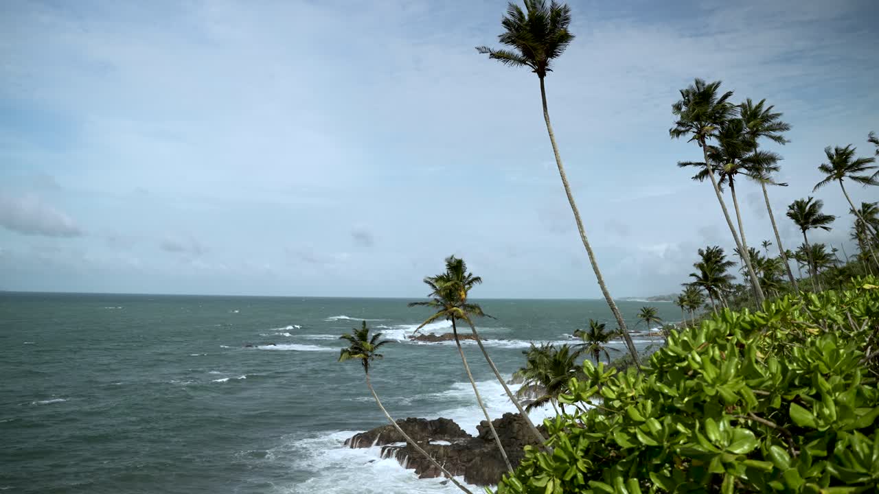 코코, 바위 위에 부히는 파도, 울창한 초록색으로 바다를 바라보는 경치가 아름답습니다.