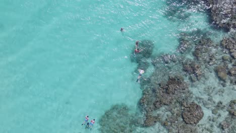 Perspectiva-Aérea-De-Snorkel-En-Grupo-En-El-Caribe.