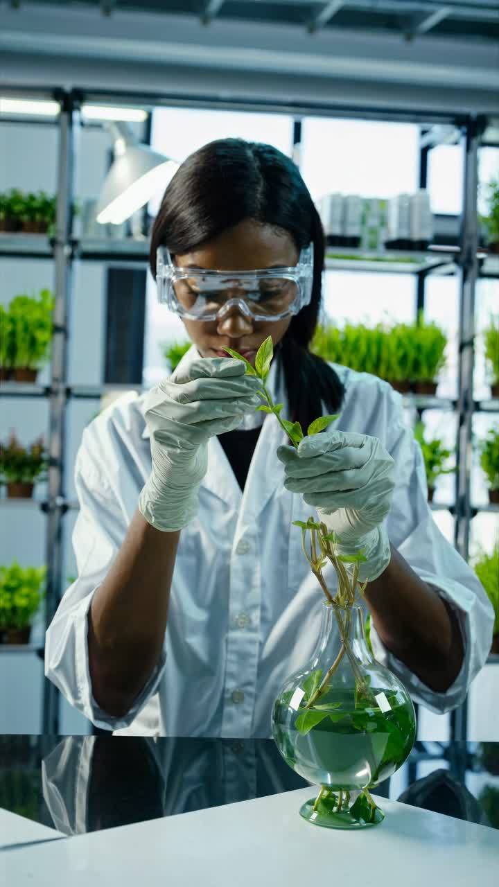 A video captures a scientist in a lab coat, shot from a low angle, carefully examining plants