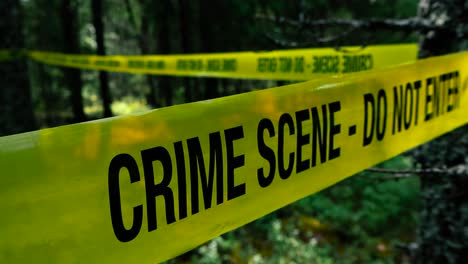 close up or closeup footage of a yellow vibrant coloreed crime scene do not enter tape in front of a investigation homicide area in a dark forest that has sun rays shining between trees. bokeh back.