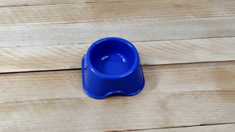 recipiente de alimentación de plástico azul vacío para mascotas en el fondo de madera, video 4k