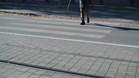 visually impaired man crossing the road with his stick with the help of tactile pedestrian sidewalk for the visually impaired in the city.