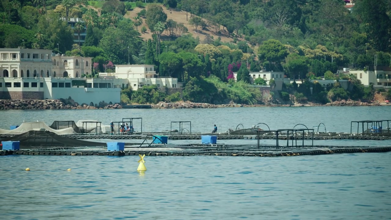 Keramba ikan mengambang di atas air di teluk pesisir yang damai dengan perbukitan dan vila tepi laut di latar belakang.