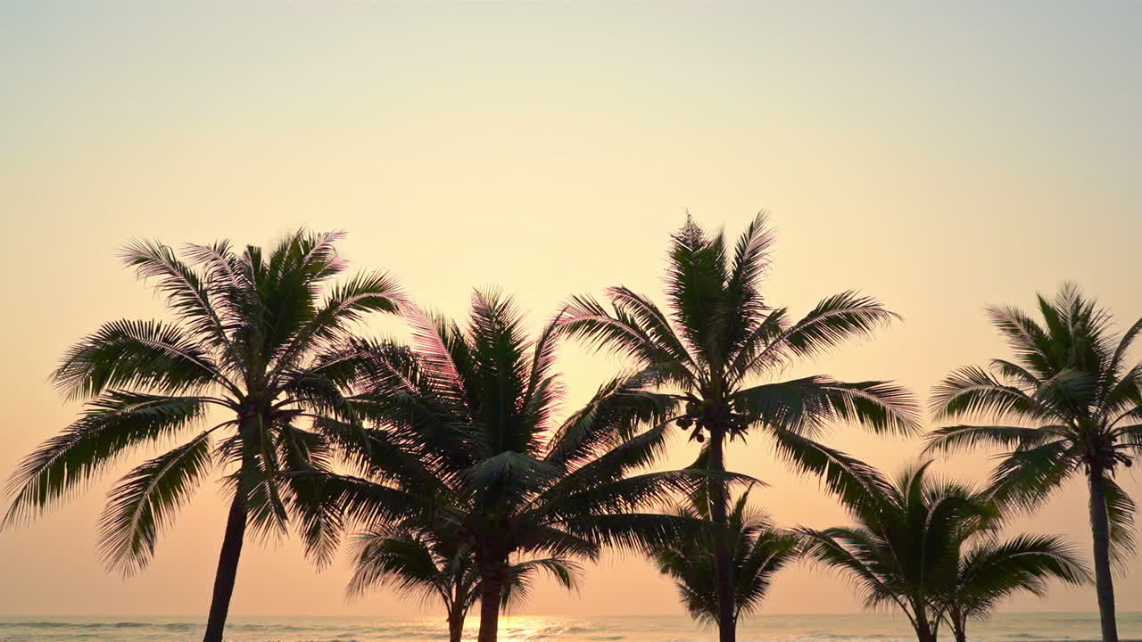 Beautiful golden sunset over the sea with tall palm trees blowing in a coastal breeze. Sunlight shines and shimmers on the surface of the ocean. Tropical island paradise destination
