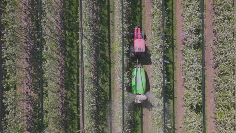 aerial view of apple orchard spraying