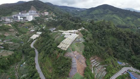 general landscape view of the brinchang district within the cameron highlands area of malaysia