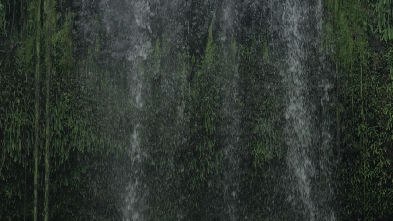 Water Cascading Down Mountainous Wall In Millaa Millaa Falls, North Queensland, Australia - tilt down