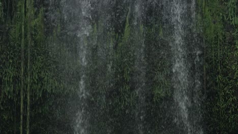 water cascading down mountainous wall in millaa millaa falls, north queensland, australia - tilt down