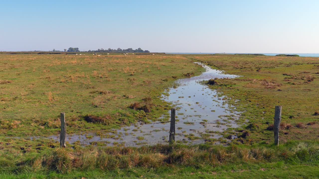 flooded green meadow on a sunny day with fence in the foreground 4k 60fps slow motion