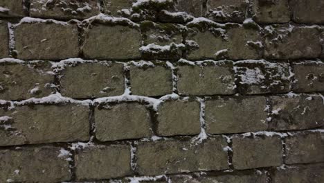 primer plano de una vieja pared de piedra con musgo, crecido entre las piedras, cubierto de nieve