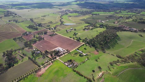 panoramic view of green fields in barossa valley, south australia - drone shot