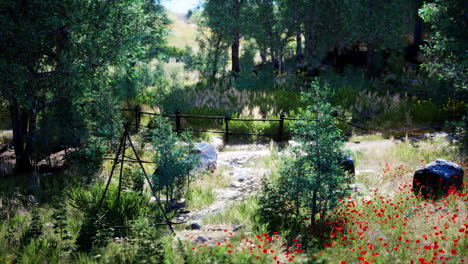 Forest-road-through-a-green-summer-forest-in-northern-Sweden