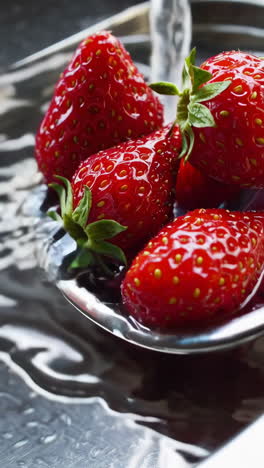 washing strawberries in a sink
