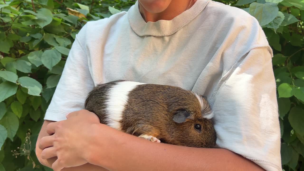 기니피그 를 들고 있는 아이