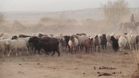 Explorando-Naryn-En-Kirguistán-Los-Hermosos-Paisajes-Vírgenes-De-Asia-Central