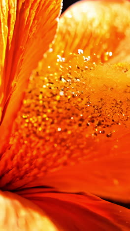 a close up of a red flower with a lot of powdery dust on it. the flower is the main focus of the image, and the dust adds a sense of movement and energy to the scene