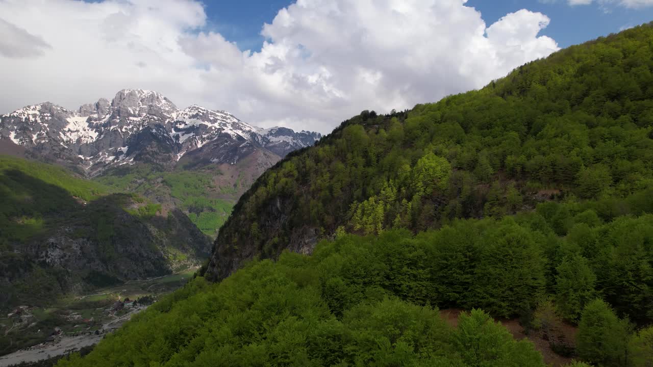 bosque verde salvaje en las montañas alpinas en un día de primavera con nubes