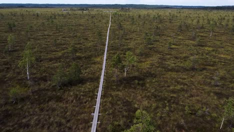 Luftdrohne,-Die-Einem-Holzweg-Im-Nigula-Moor-In-Estland-Folgt