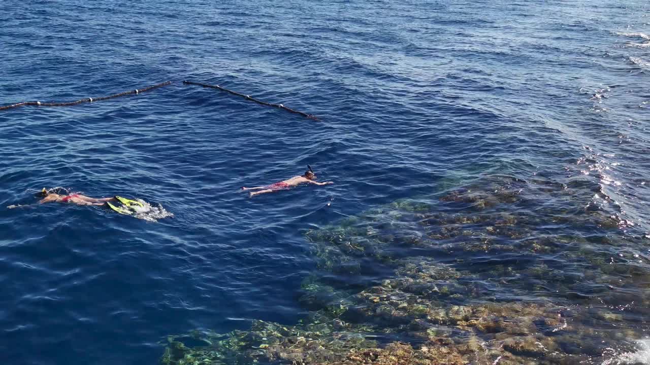 산호 에서  ⁇ 은 바다 의 표면 에서 스노클링 하는 사람 들