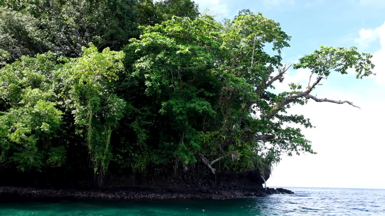 Traveling along a stunning rainforest coastline with overhanging tree and blue sky via motorboat in paradise tropical island. Adventures in Bougainville, Papua New Guinea